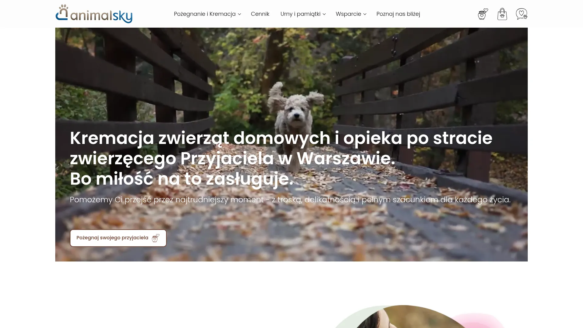 animal-sky.pl